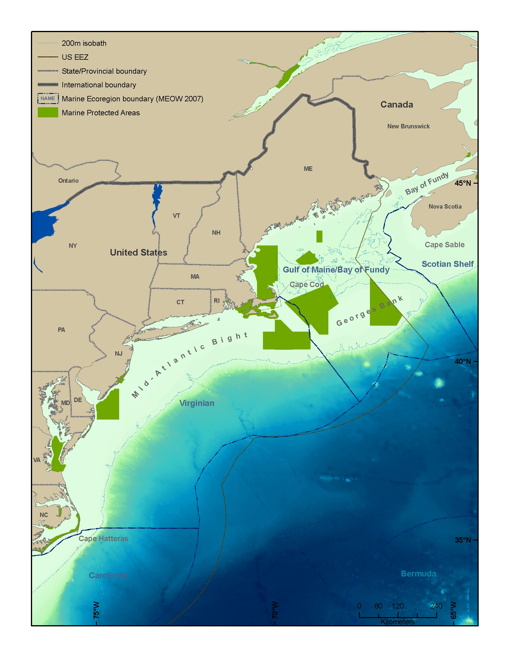 Mid Atlantic Bight / Gulf of Maine